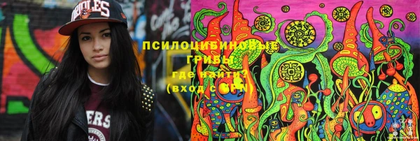 амф Няндома