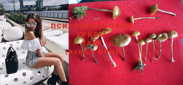 MESCALINE Нязепетровск