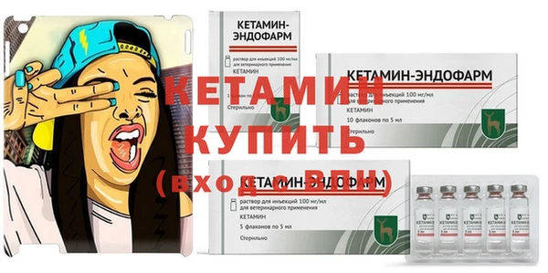 амф Няндома