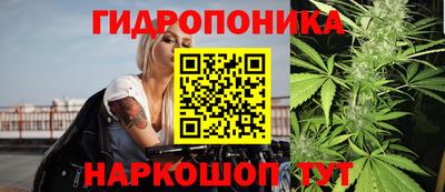 спиды Волгодонск