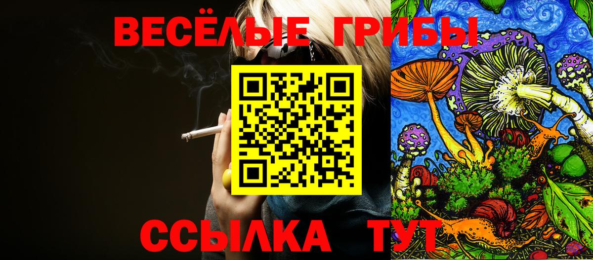 Галлюциногенные грибы ЛСД  Вход с VPN  Миллерово  Псилоцибиновые грибы Magic Shrooms 