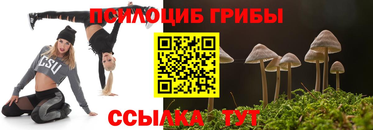Псилоцибиновые грибы Psilocybine cubensis  Миллерово 